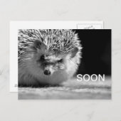 すぐに ポストカード (正面/裏面)