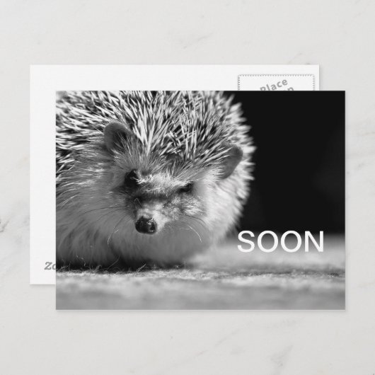 すぐに ポストカード (正面/裏面)