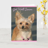 すぐにChihuahuaグリーティングカードを取得 カード (黄色い花)