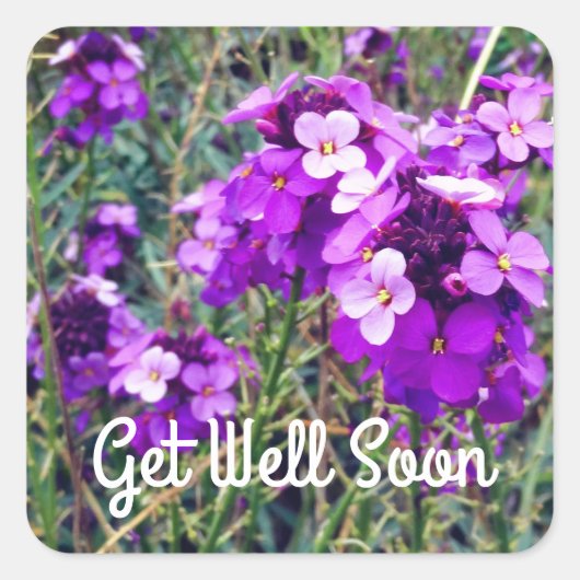 すぐにWallflower Bowles Mauve #1スタンプ スクエアシール (正面)
