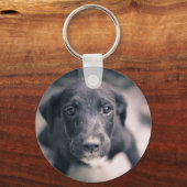 すごいかわいい子犬 キーホルダー (正面)