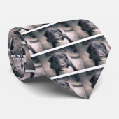 すごいかわいい子犬 ネクタイ (ロール)
