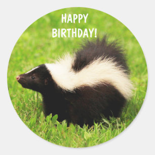すごいキュートスカンク誕生日 ラウンドシール
