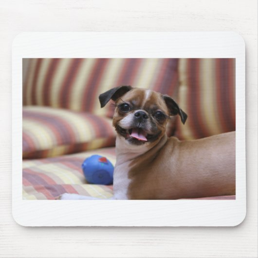 すごい可愛いお気に入りの犬 マウスパッド (正面)