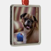 すごい可愛いお気に入りの犬 メタルオーナメント (右)