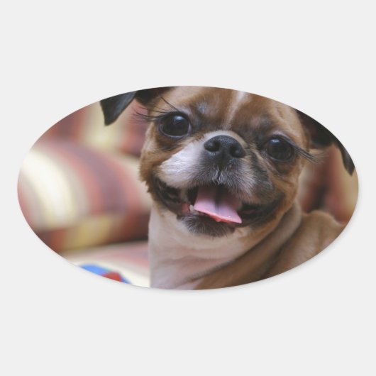 すごい可愛いお気に入りの犬 楕円形シール (正面)