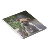 すごい可愛縁どいテリア ノートパッド (アングル)