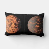 すごい地球55カンクリE ランバークッション (裏面)