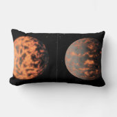 すごい地球55カンクリE ランバークッション (正面)