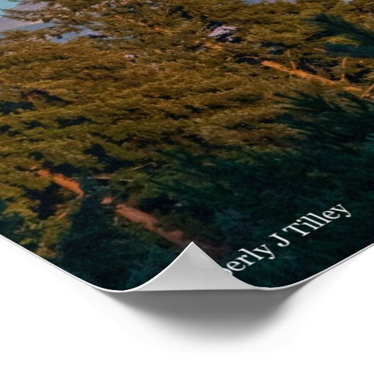 すごい月2014 ポスター (角)