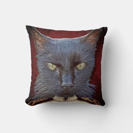 すごい猫の将軍の枕！ クッション (正面)