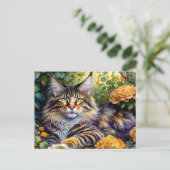 すごい猫 ポストカード (スタンド正面)