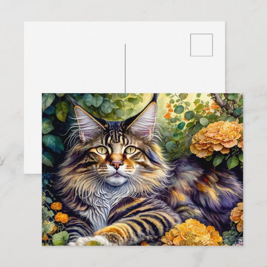 すごい猫 ポストカード (正面/裏面)