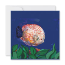 すごい魚