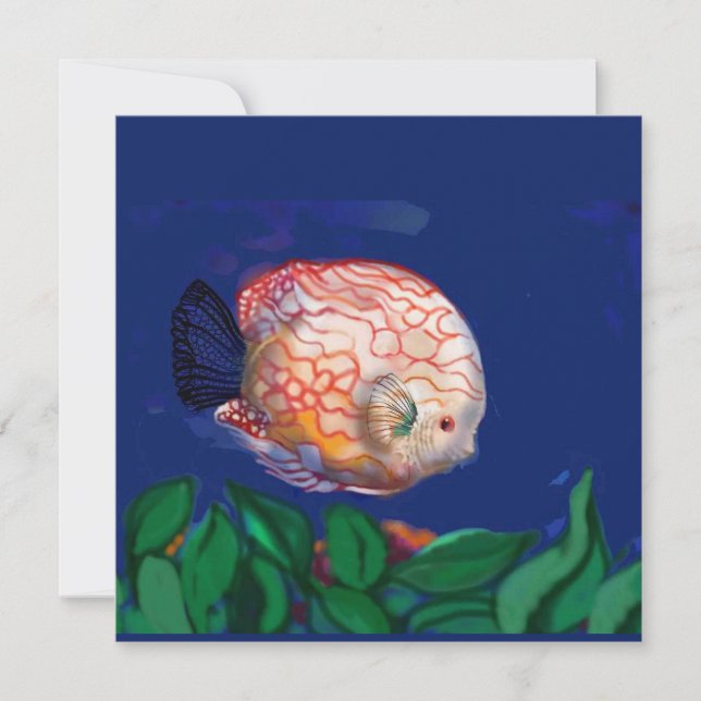 すごい魚 (正面)