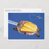 すごい!砂漠の亀をガンミー ポストカード (正面/裏面)