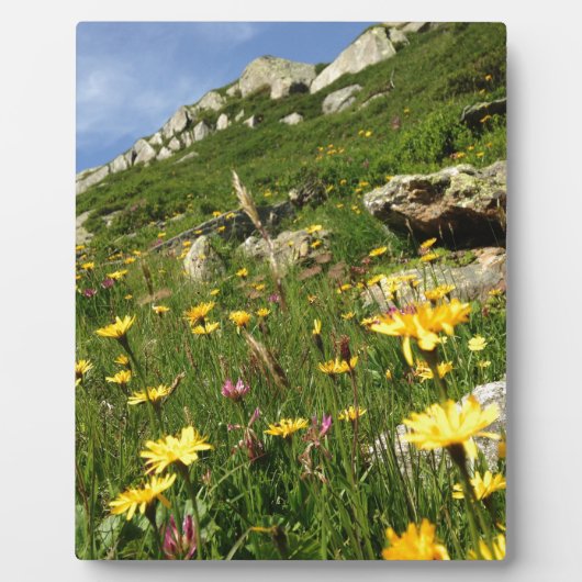 すごい!高山花 フォトプラーク (正面)
