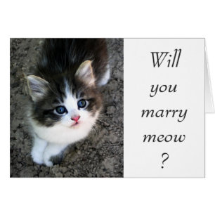 すごいCUTE Customizableの結婚提案