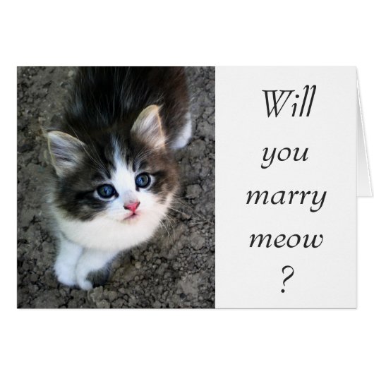 すごいCUTE Customizableの結婚提案 (正面横)