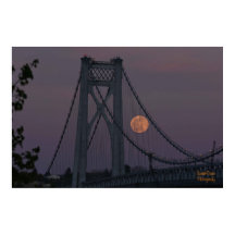 すごいPink Moon 2021ポスター