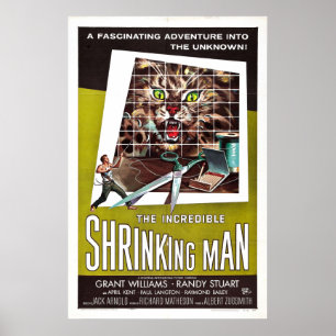 すごく小さくなる男 ポスター