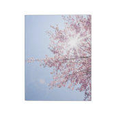 すさまじい木のピンク色の花を太陽が通過する ノートパッド (回転)