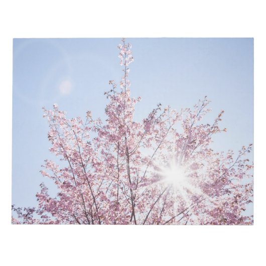 すさまじい木のピンク色の花を太陽が通過する ノートパッド (正面)