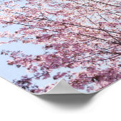 すさまじい木のピンク色の花を太陽が通過する ポスター (角)