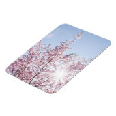 すさまじい木のピンク色の花を太陽が通過する マグネット (左側)