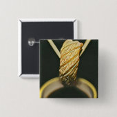 すし日本の好き 缶バッジ (正面&裏面)