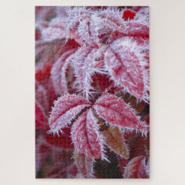 すすり離れ霜の美しい赤い。 ジグソーパズル