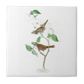 すずめのジョン白いThroated Audubonの鳥アメリカ タイル (正面)