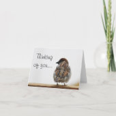 すずめの写真 カード (正面)