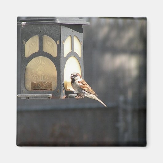 すずめの磁石 マグネット (正面)