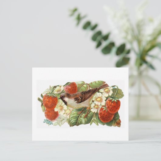 すずめ及び赤いいちご-ヴィンテージのイラストレーション ポストカード (スタンド正面)