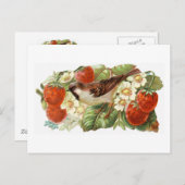 すずめ及び赤いいちご-ヴィンテージのイラストレーション ポストカード (正面/裏面)