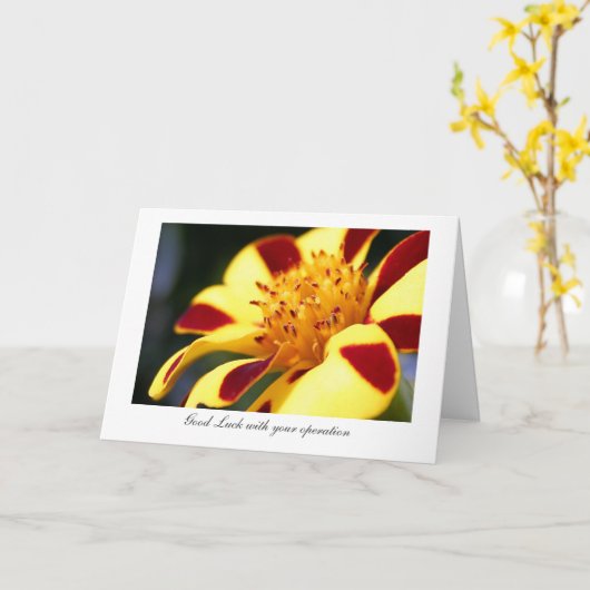 すてきなこっけい者のマリーゴールド-あなたの操作を用いる運 カード (黄色い花)