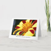 すてきなこっけい者のマリーゴールド-あなたの操作を用いる運 カード (正面)