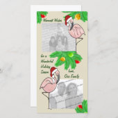 すてきなフラミンゴの写真の挨拶状 シーズンカード (正面/裏面)