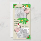 すてきなフラミンゴの写真の挨拶状 シーズンカード (正面)