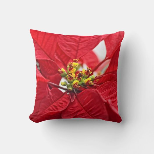 すてきな赤 クッション (正面)