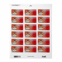 すてき雪だるまスノーウィードムズ