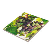 すばらしいつる植物のブドウ、自然、秋の秋日曜日 タイル (側面)