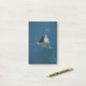 すばらしいアカエイ ポストイット (デスク上)