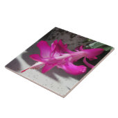 すばらしいクリスマスサボテン タイル (側面)