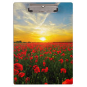 すばらしいケシ分野の日没の地平線 クリップボード (正面)