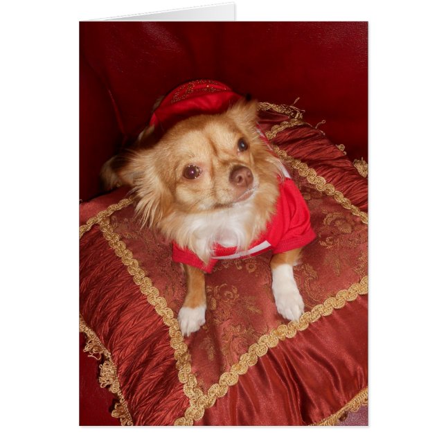 すばらしいココヤシ (正面)