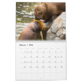 すばらしいセイウチの壁掛けカレンダー カレンダー (2月 2026)