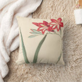 すばらしいトウモロコシ旗 クッション (ブランケット)