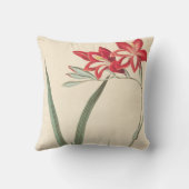 すばらしいトウモロコシ旗 クッション (裏面)